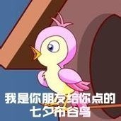 七夕布谷鸟不孤表情包分享