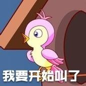 七夕布谷鸟不孤表情包分享