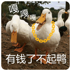 抖音无脑下单搞笑表情包分享