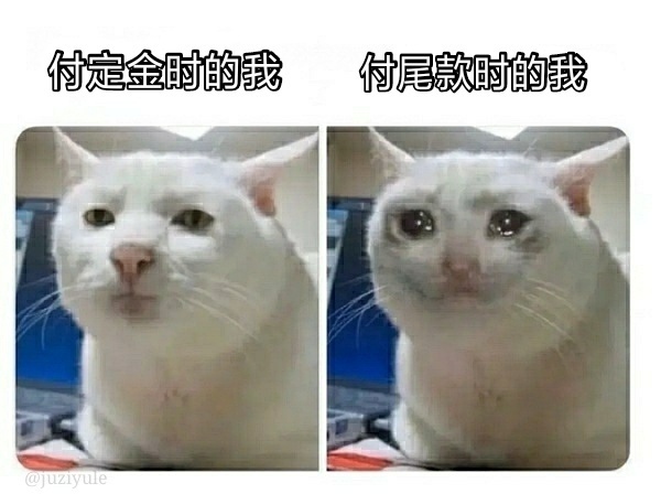 尾款人表情包分享