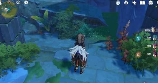 《原神》青墟蒲宝箱位置介绍