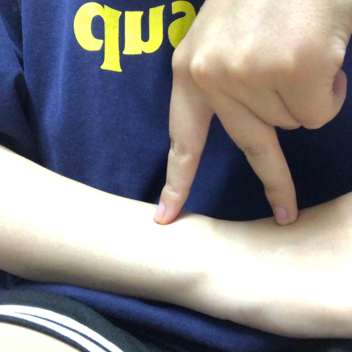 《抖音》米兔的臭肠梗图表情包分享