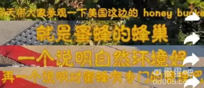 《抖音》美国蜂箱梗的意思介绍