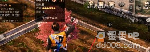《明日之后》樱花获取方法