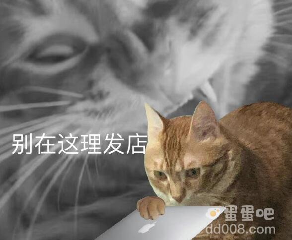 《抖音》你不要在这理发店梗的意思介绍