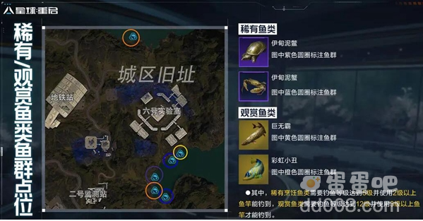 《星球重启》稀有鱼群点位介绍