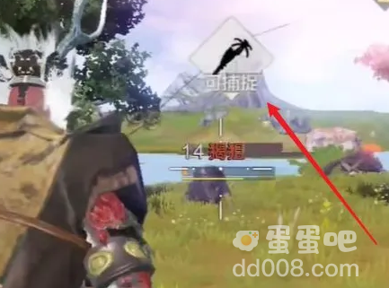 《妄想山海》宠物捕捉方法