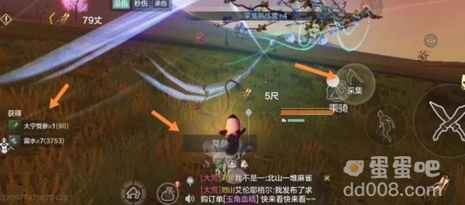 《妄想山海》大宁党参获取方法