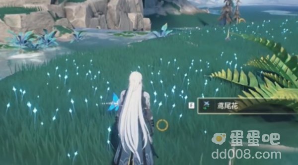 《鸣潮手游》鸢尾花采集位置