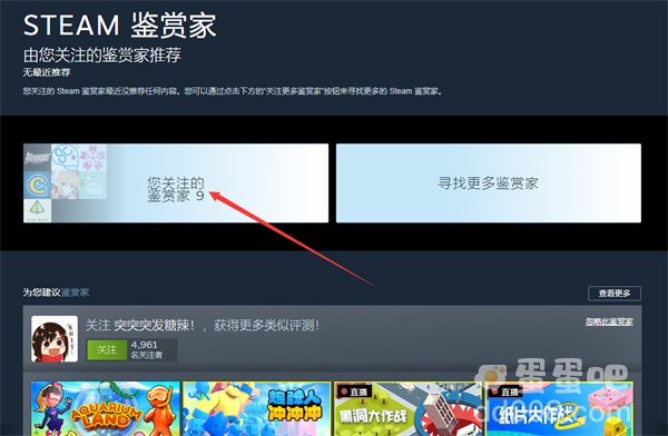 《Steam》关注的鉴赏家查看方法